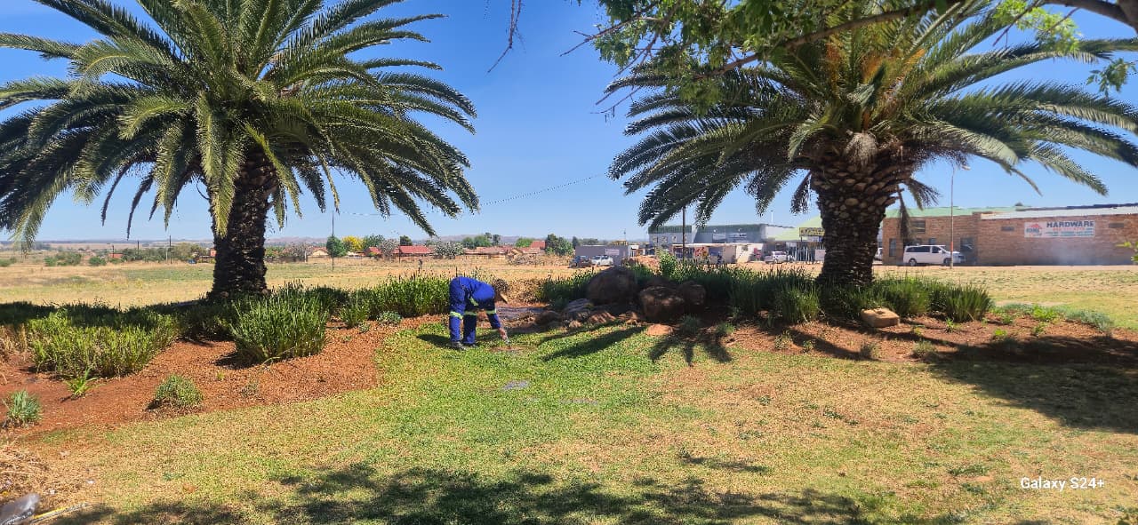 Community Development Project 2